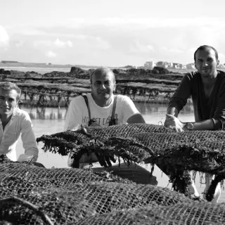 CHASSE - MAREE