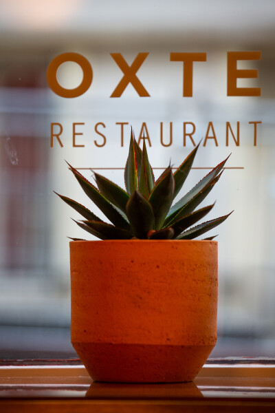 OXTE - Collège Culinaire de France