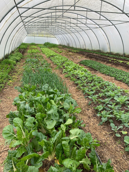 LE JARDIN DE DEUX'MAIN - Collège Culinaire de France