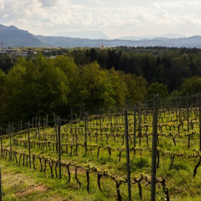 LES COTEAUX DES GIRONDALES