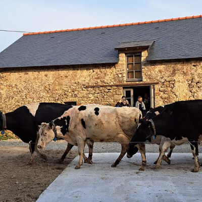 FERME LAIT PRÉS VERTS (EARL CANNEVÉ)