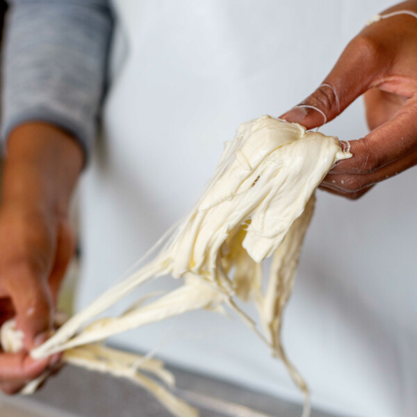 LAITERIE BURDIGALA - Collège Culinaire de France