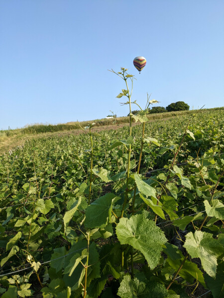 DOMAINE DU BEAUREGARD - Collège Culinaire de France