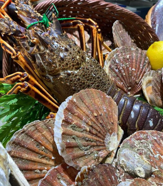 POISSONNERIE BIARROTE - Collège Culinaire de France