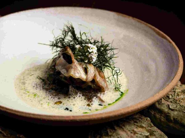 MAGMA - Collège Culinaire de France