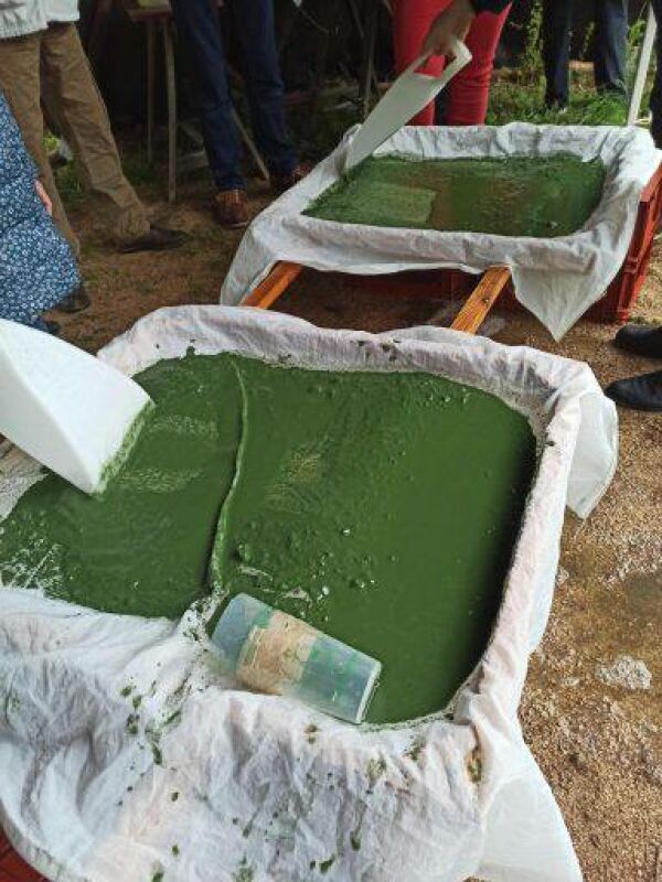SPIRULINE ARC-EN-CIEL - Collège Culinaire de France