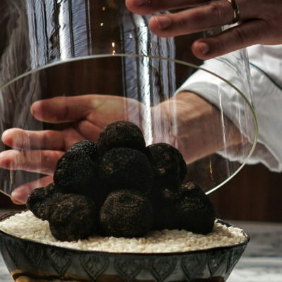 SCEA LA TRUFFE DU ROY - Collège Culinaire de France