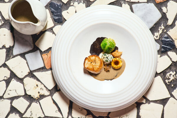 VIRTUS - Collège Culinaire de France