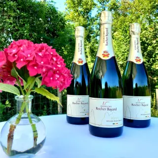 DOMAINE ROCHER BAYARD - Producteur