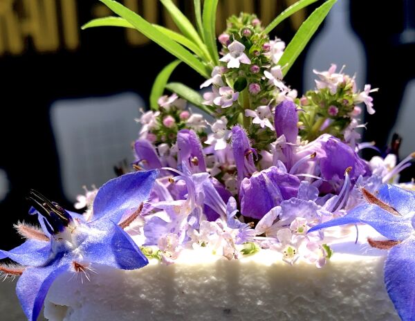 TRAIT D’UNION - Collège Culinaire de France