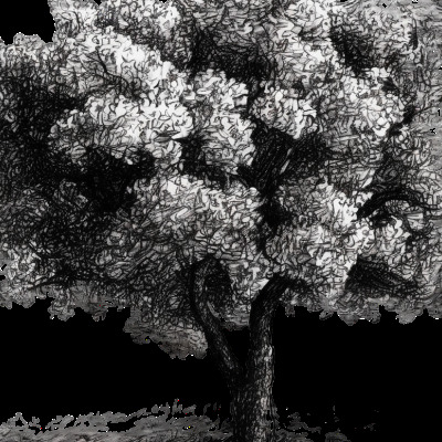 SCEA LA TRUFFE DU ROY - Collège Culinaire de France