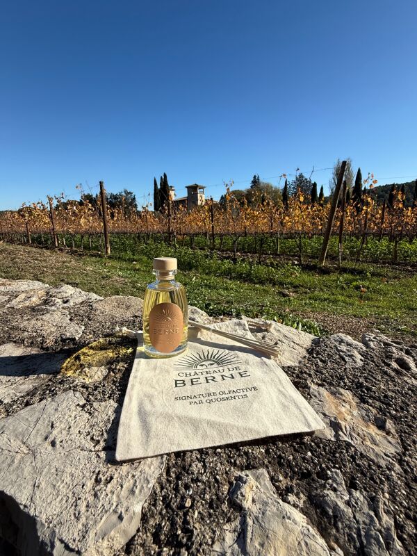 QUOSENTIS - Collège Culinaire de France