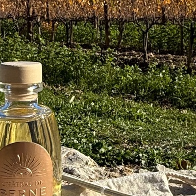 QUOSENTIS - Collège Culinaire de France