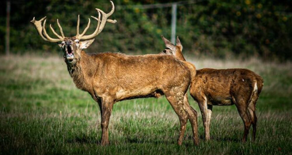 LA FERME DE COLLONGE - Collège Culinaire de France