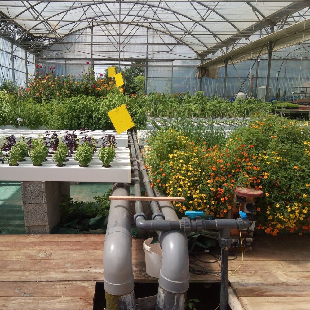 MONGEZ-MOI - Collège Culinaire de France