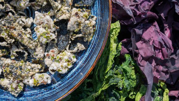 YODÈN - Collège Culinaire de France