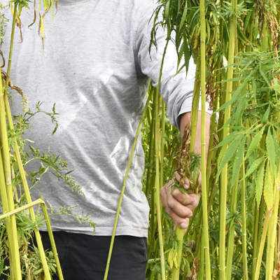 SAS MONT GAUTIER - Collège Culinaire de France