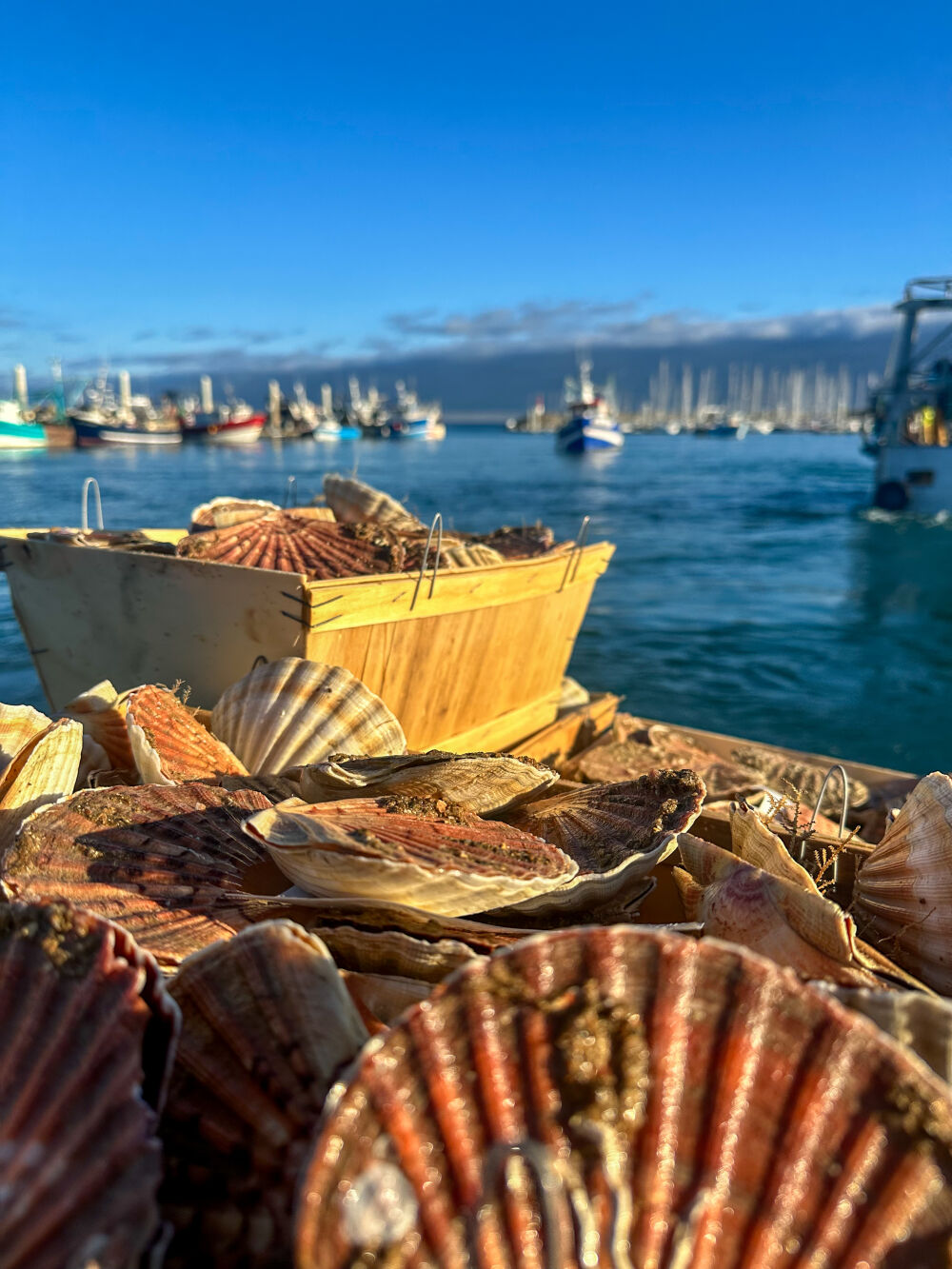 KI DOUR MOR - Collège Culinaire de France