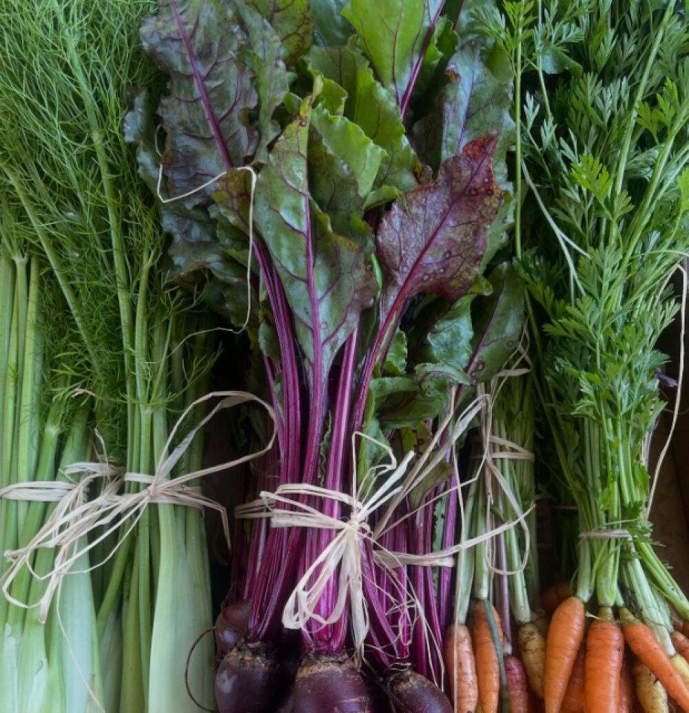 LES JARDINS DE SUZANNE - Collège Culinaire de France