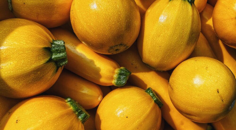 LE POTAGER DES BERGERIES - Collège Culinaire de France