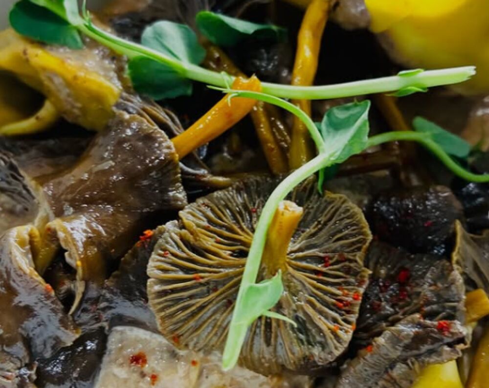 TRAITEUR LA PROD - Collège Culinaire de France