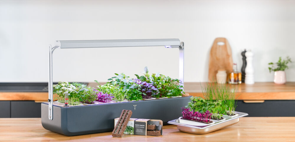 VERITABLE - Collège Culinaire de France