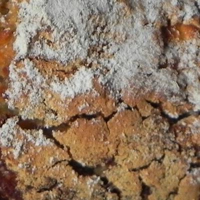 QUALINOA - College Culinaire de France