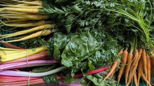 LES JARDINS D'AO - College Culinaire de France