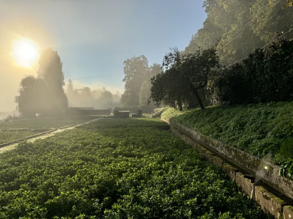 ASSOCIATION LES GRANDES CRESSONNIÈRES  DE CAILLY SUR EURE - College Culinaire de France