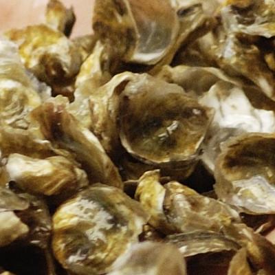 LA CABANE D'ADRIEN - ILE DE NOIRMOUTIER - College Culinaire de France