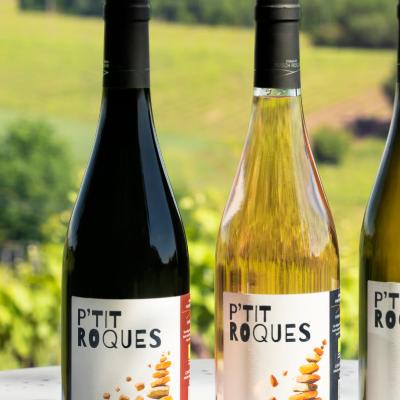 DOMAINE PUECH ROQUES