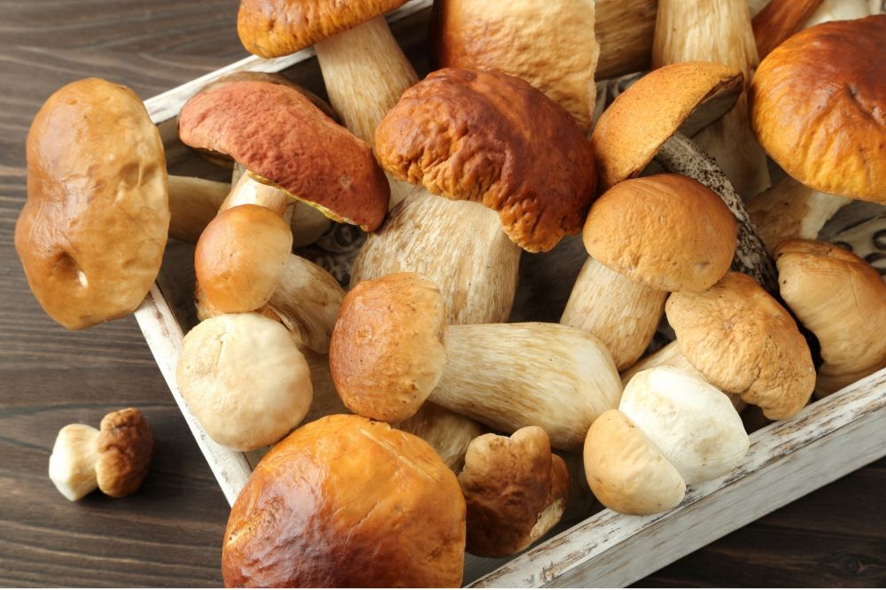 BRASSA - College Culinaire de France