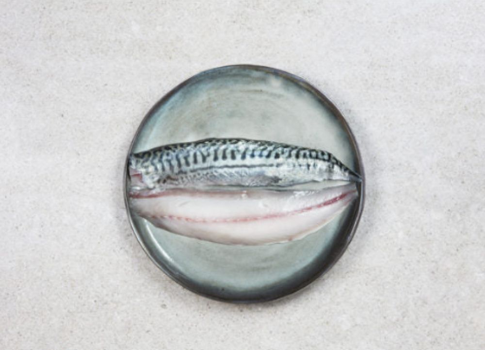 POISSONNERIE LA ROCHELAISE - College Culinaire de France